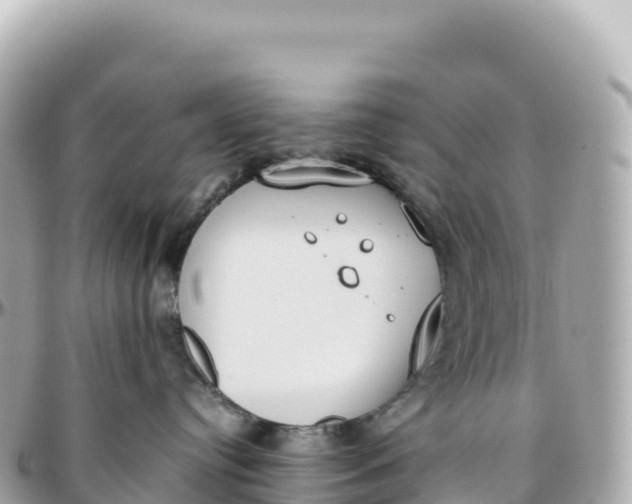 X0000095890384200801251208