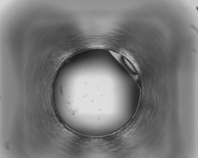 X0000095890385200801251207