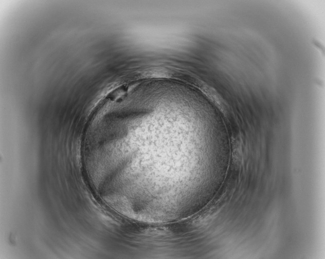 X0000095890386200801251207