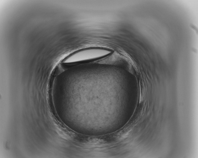 X0000095890387200801251207