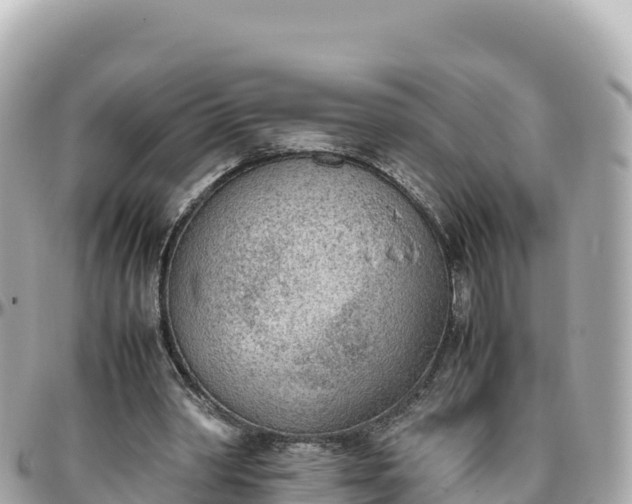 X0000095890390200801251207