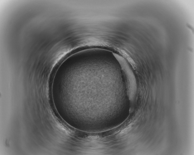 X0000095890391200801251207