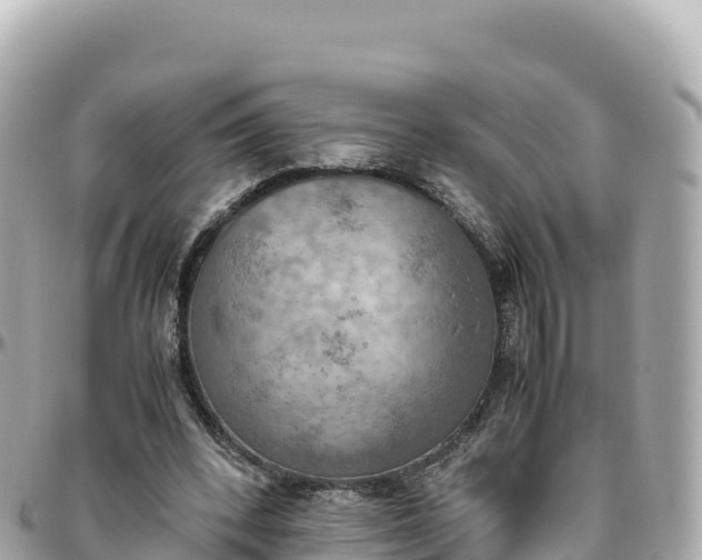 X0000095890392200801251207