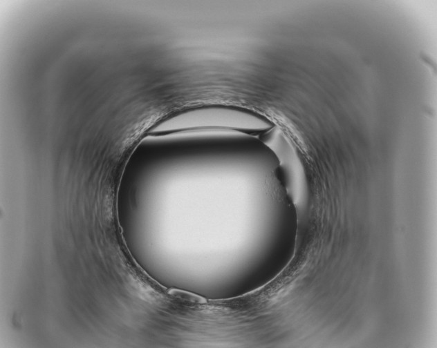 X0000095890393200801251207