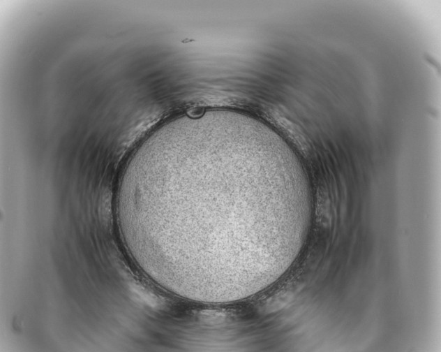 X0000095890394200801251207