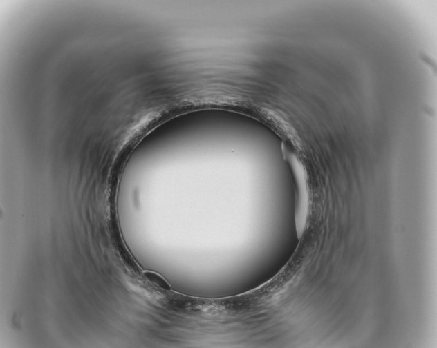 X0000095890395200801251207