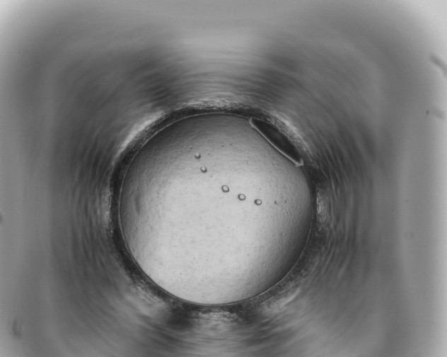 X0000095890396200801251207