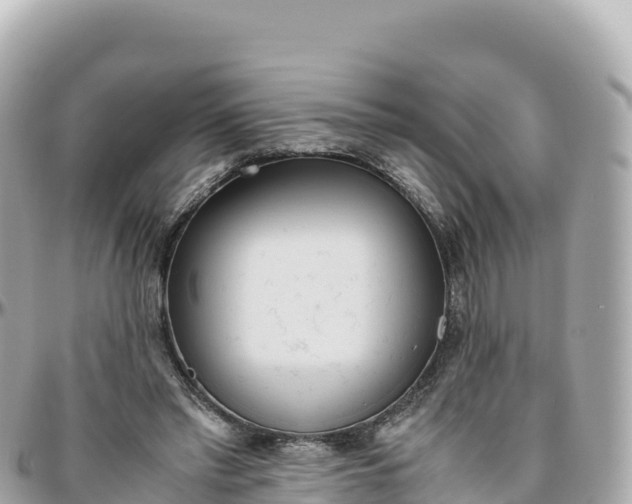 X0000095890397200801251207