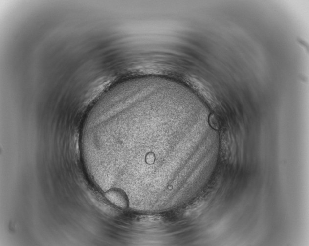 X0000095890398200801251207