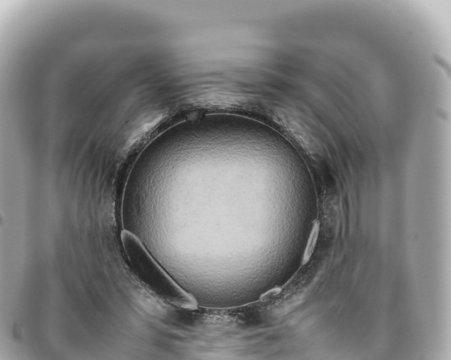 X0000095890399200801251207