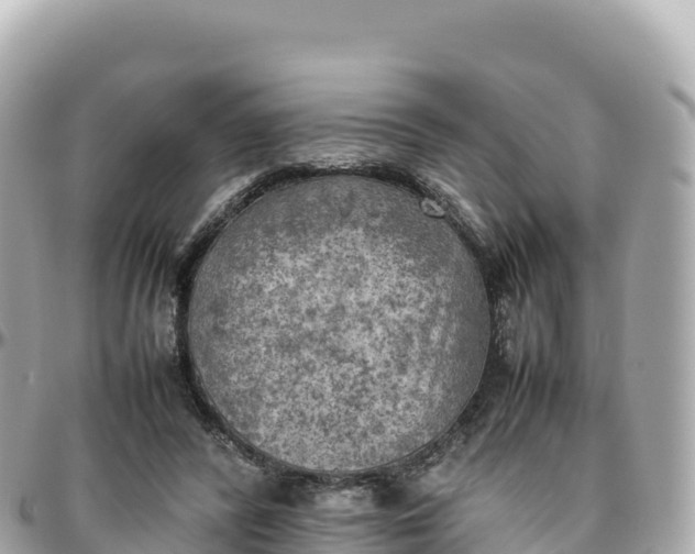 X0000095890400200801251207