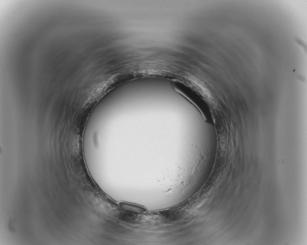 X0000095890401200801251207