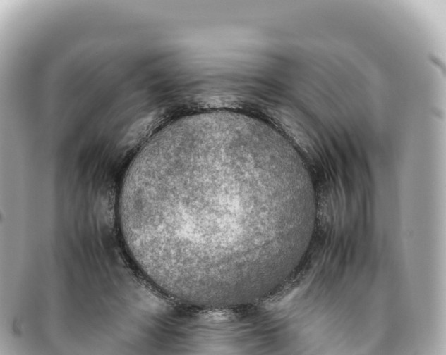 X0000095890402200801251207