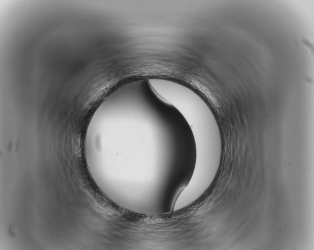 X0000095890403200801251207