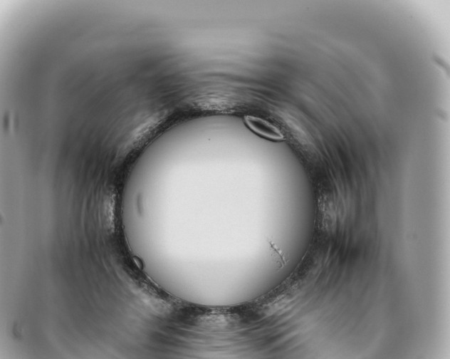 X0000095890404200801251207