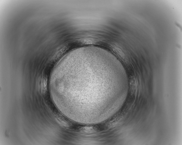 X0000095890406200801251207