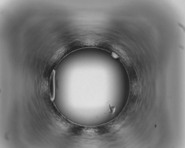 X0000095890407200801251207