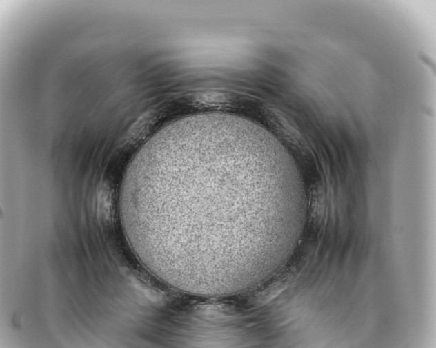 X0000095890408200801251207