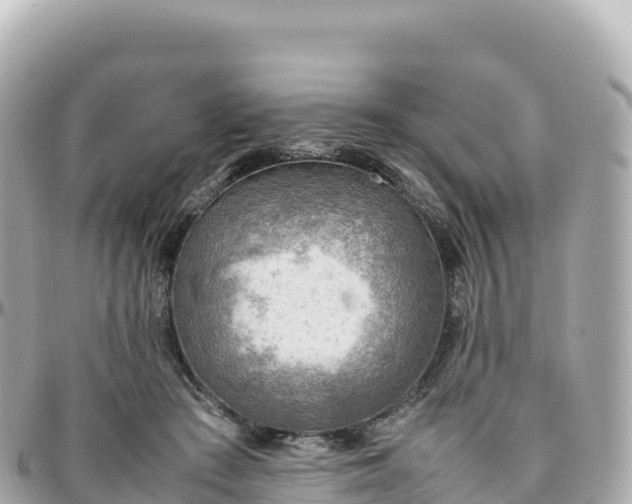 X0000095890409200801251207