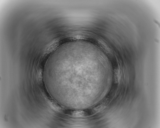 X0000095890410200801251207