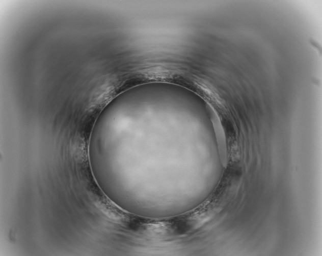 X0000095890411200801251207