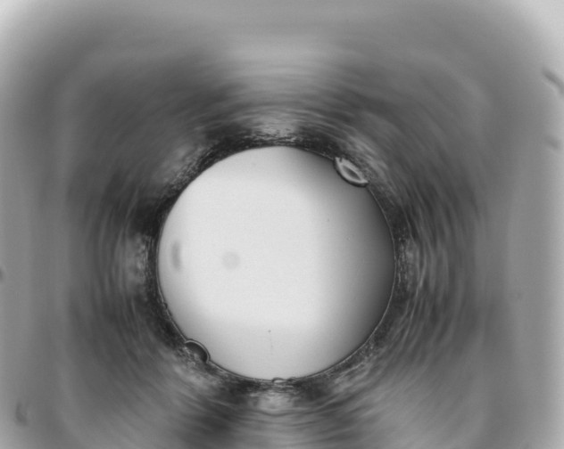 X0000095890412200801251207