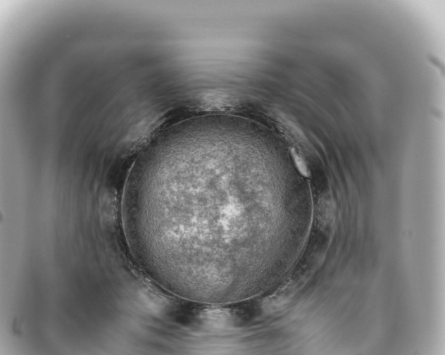 X0000095890413200801251207