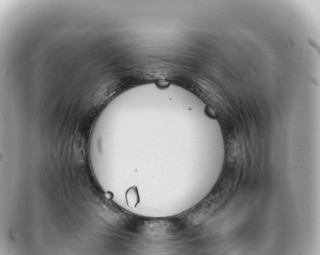 X0000095890414200801251207