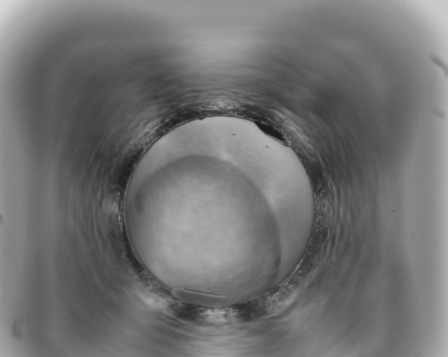 X0000095890415200801251207