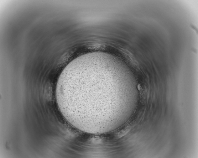 X0000095890416200801251207