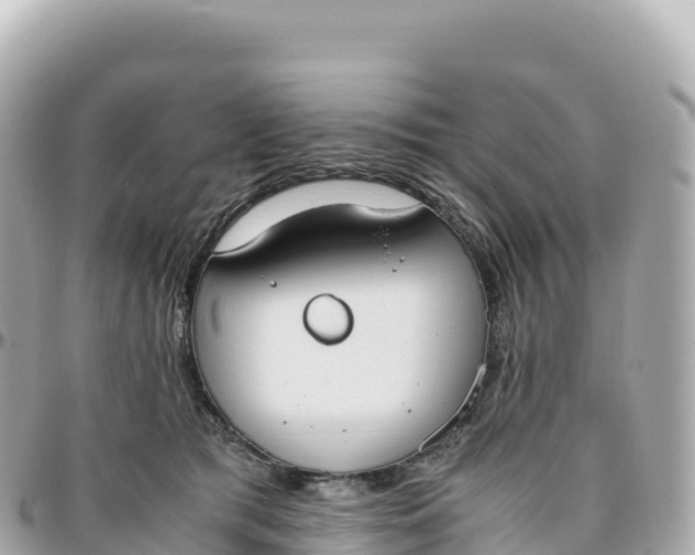 X0000095890417200801251207