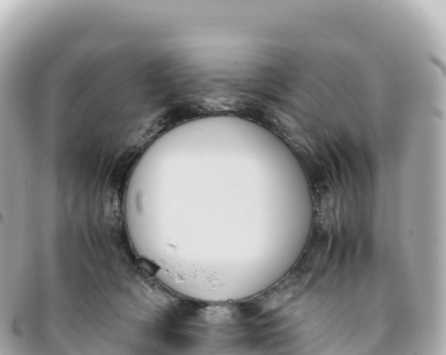 X0000095890418200801251207