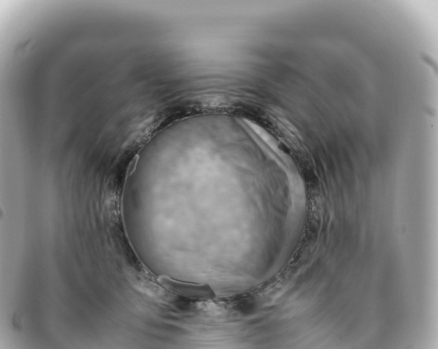 X0000095890419200801251207