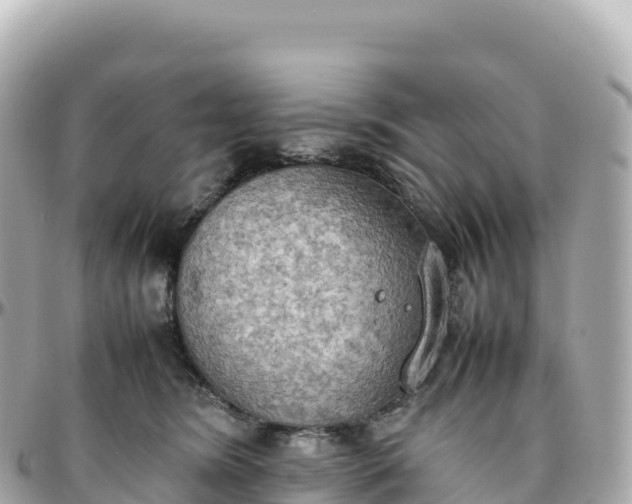 X0000095890420200801251207