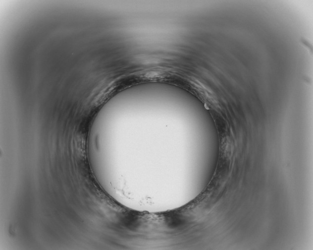 X0000095890421200801251207