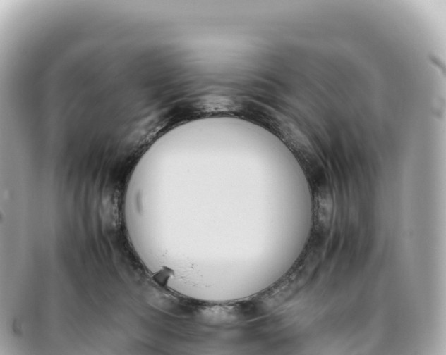 X0000095890422200801251207