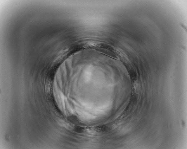 X0000095890423200801251207