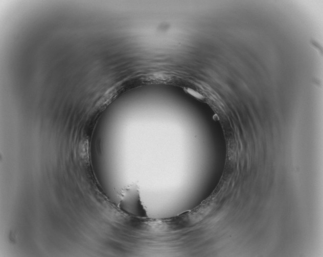 X0000095890425200801251207