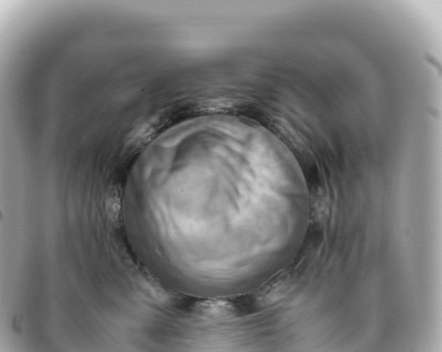 X0000095890427200801251207