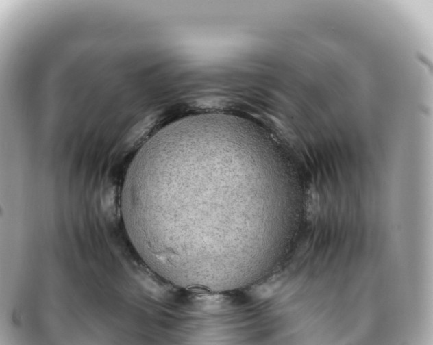 X0000095890428200801251207