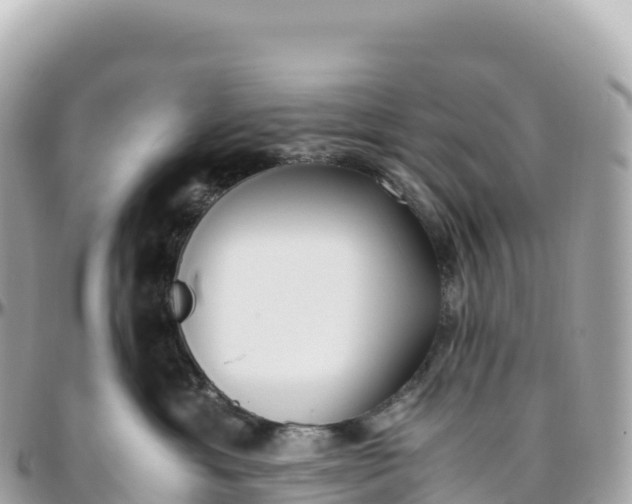 X0000095890429200801251207