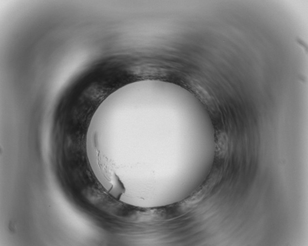 X0000095890430200801251207