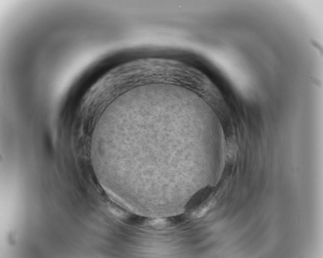 X0000095890431200801251207