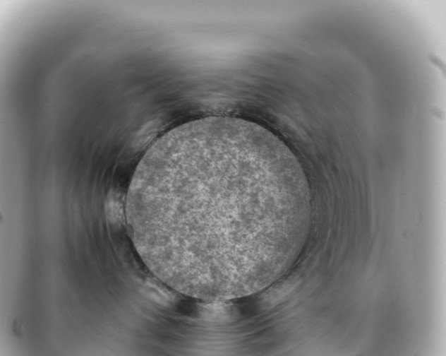 X0000095890432200801251206