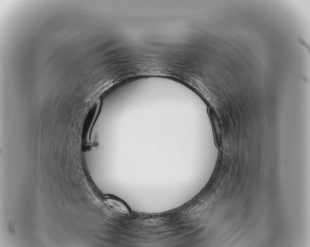 X0000095890433200801251206