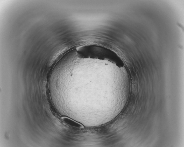 X0000095890434200801251206