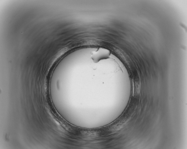 X0000095890435200801251206