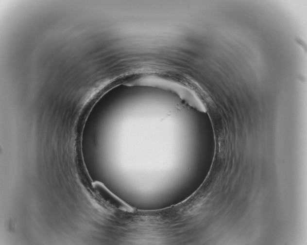 X0000095890436200801251206