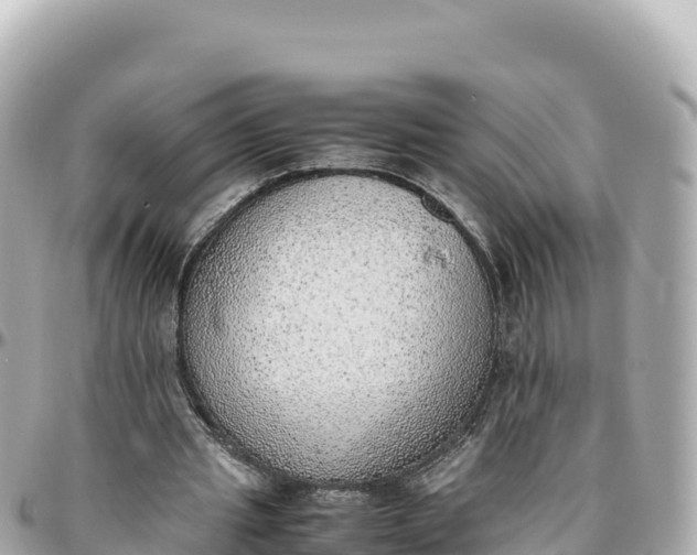 X0000095890437200801251206