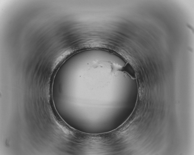 X0000095890438200801251206